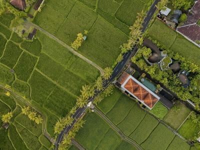 Paon Desa Ubud - 26