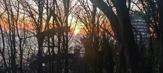 Revital Park Sanatorium - 39