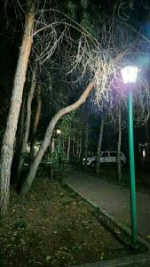 Zhibek Zholy - 44