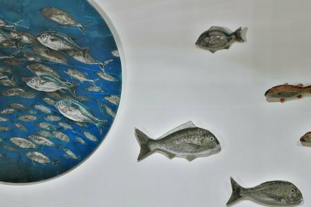 Senatus - Special Class - 17