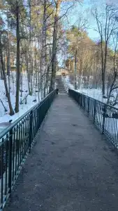 Chernichnyi Bereg - 13