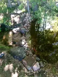 Agrousadba Lyavoniha - 17