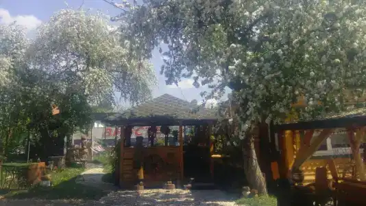 Agrousadba Lyavoniha - 1