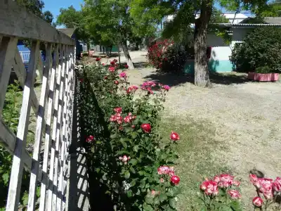 Peschanaya kosa Tourist base - 15