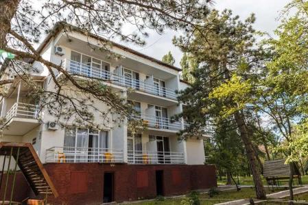 Otel Forrest - 44