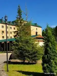 Lesnaya Skazka Restaurant-Complex - 97