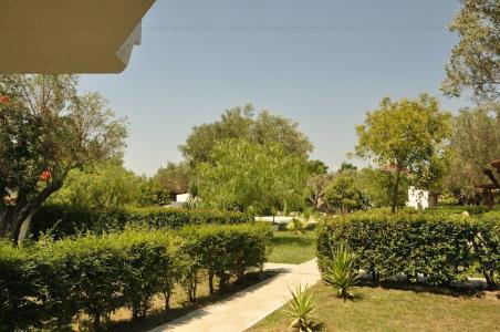 Villaggio Borgo degli Ulivi - 21