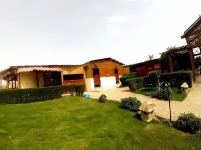 Xperience Golden Sandy Beach - 27