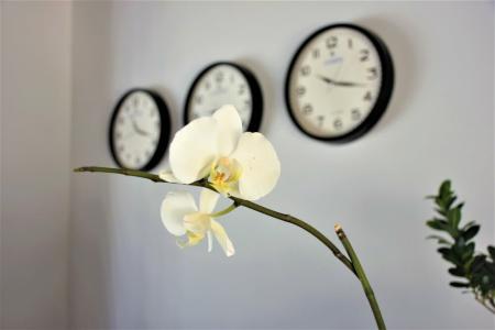 Modern Life Bodrum - 31