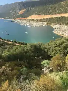 Carruba Boutique - 22