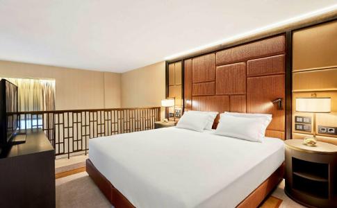 Hilton Budapest - 29