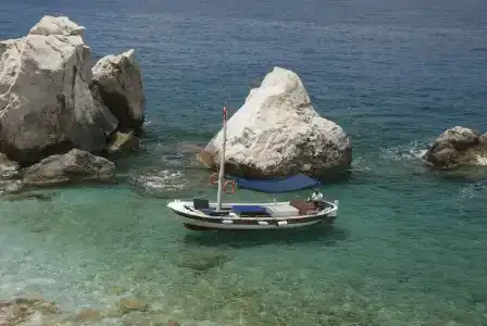 Perdue Adults Only - 26