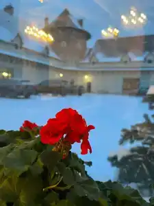 La Ferme de Reve - 63