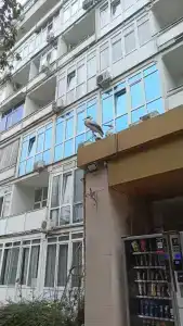 Golden Holiday Apartments - 25