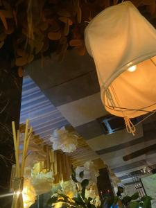 Inn OZZ - 25