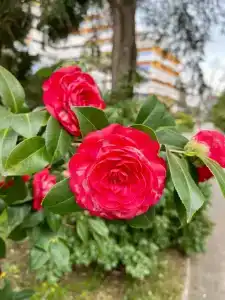 Uzhnoe Vzmorie Health Resort - 7