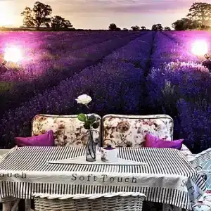 Provans Boutique - 37