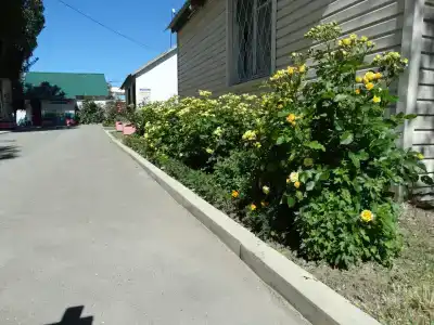 Peschanaya kosa Tourist base - 25