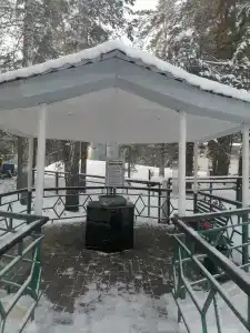 Berezovaya roshcha - 96