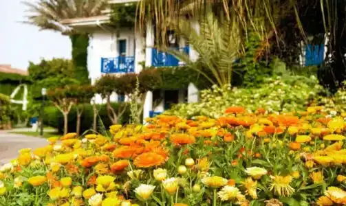 Belconti Resort - All Inclusive - 10