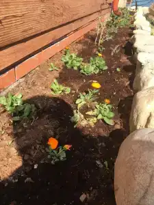 Zolotye peski Tourist base - 42