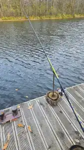 Berezinskaya Dubrava - 74