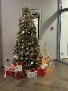 Chernorechye Park - 39