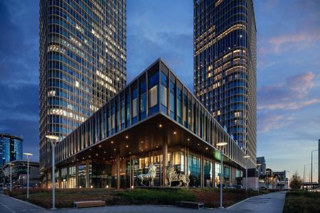 The Ritz-Carlton - 36
