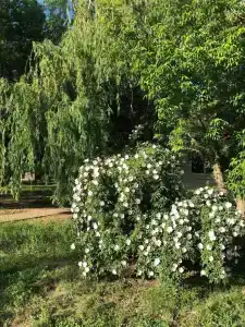 Рыболовный Клуб Место Встречи - 3