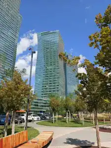Severnoe siyanie - 13