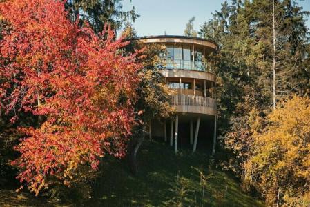 Der Waldhof in Völlan - 41