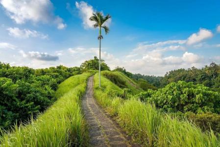 Pondok Massas Ubud - 2