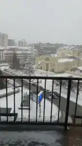 Домина Новосибирск - 86