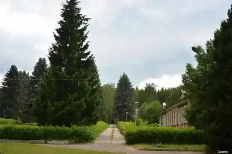 Olimp park-hotel - 37