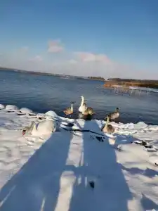 Detskiy Sanatoriy "Rosinka" - 61