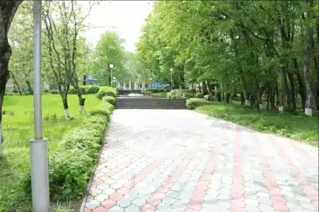 Salut Sanatorium - 19