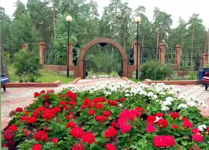 Sanatoriy Nadezhda - 8