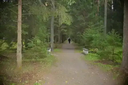 Sanatoriy Shchelykovo - 42