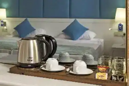 Asteria Bloom Side - 19