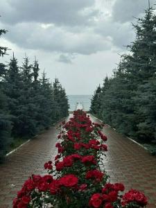 Simiram Resort - 21