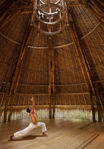 Fivelements Ubud - 17