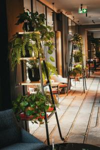 MDM City Centre - 33