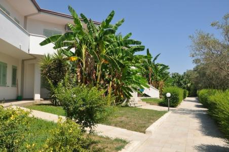Villaggio Borgo degli Ulivi - 16