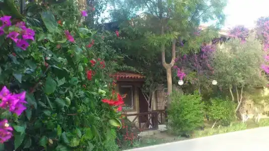 Moonshine & Suites - 34