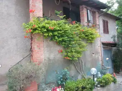 Agriturismo Il Colto - 1