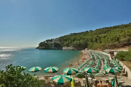 Pugnochiuso Resort - Degli Ulivi - 33