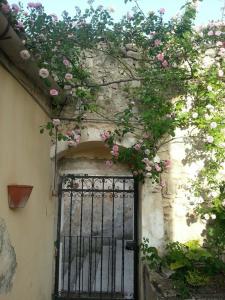 Giardino sul Duomo - 17