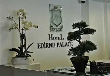 Edirne Palace - 3
