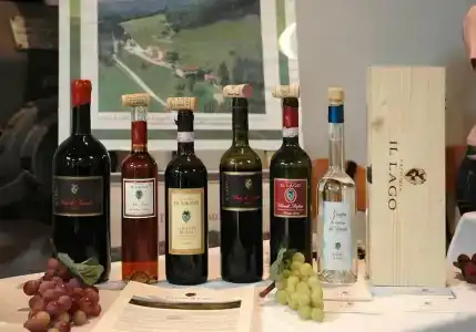 Fattoria Il Lago - 5