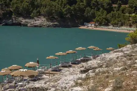 Pugnochiuso Resort - Degli Ulivi - 26